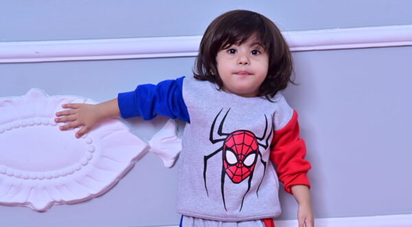 SPIDER - Image 2